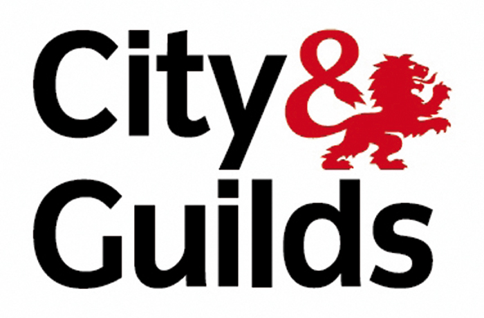 city and guilds 17th edition wiring regulations